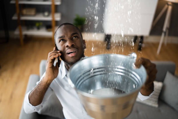 Best Water damage restoration near me  in Leadville North, CO