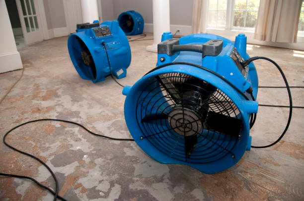Best Emergency water damage restoration  in Leadville North, CO