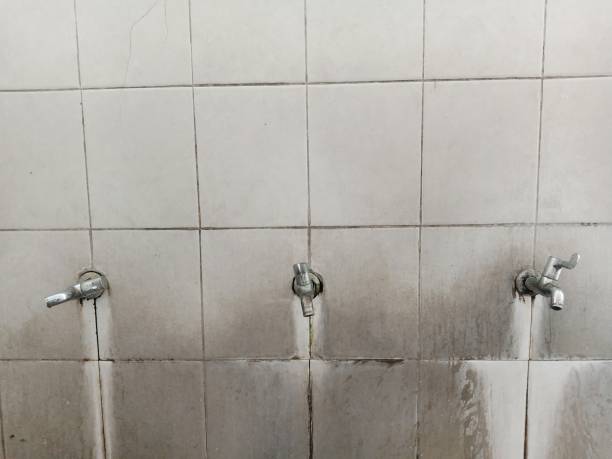 Best Professional water damage repair  in Leadville North, CO