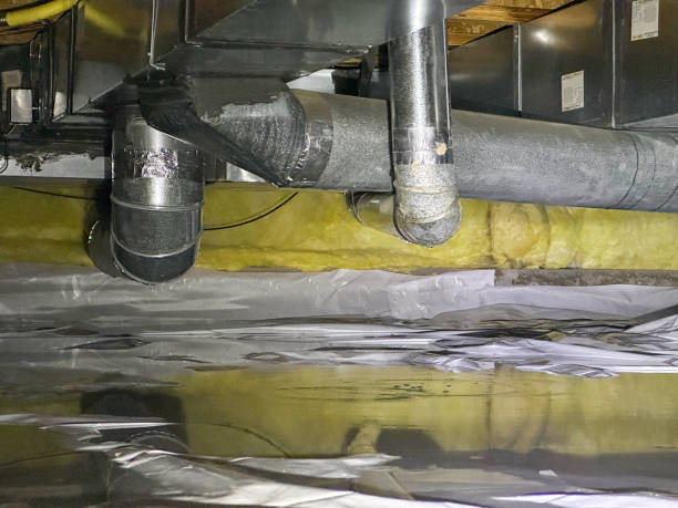 Best Water damage cleanup near me  in Leadville North, CO